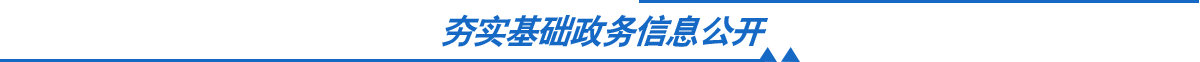 夯实基础政务信息公开